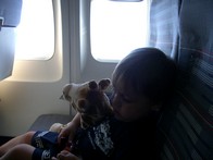 IMGP7733.JPG
8/19/2005
