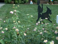 IMGP7781.JPG
8/21/2005
