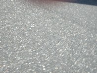 IMGP7784.JPG
8/21/2005
